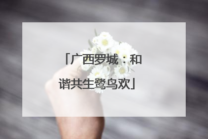 广西罗城：和谐共生鹭鸟欢